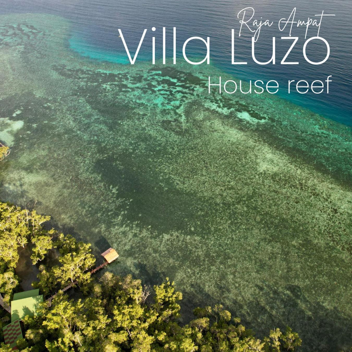 Villa Luzo & Tours Saonek Exteriér fotografie